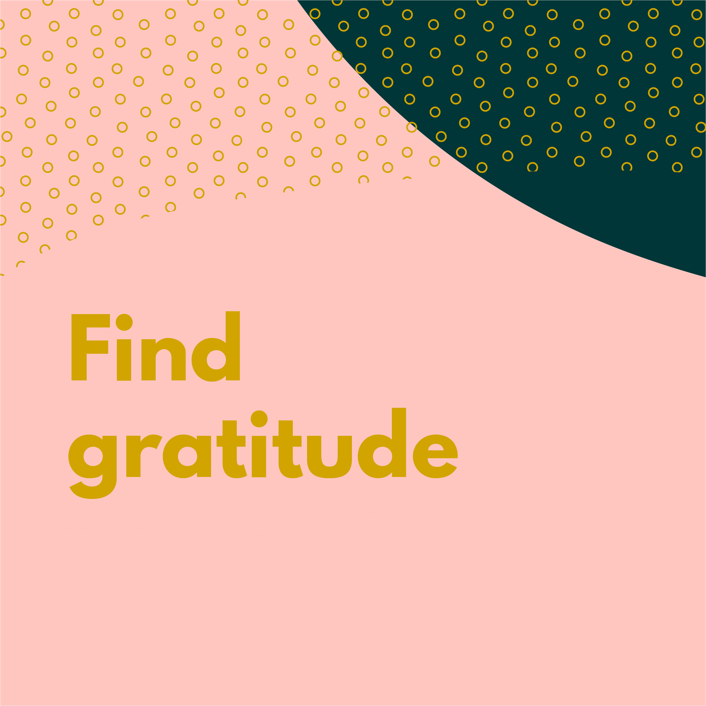 Find gratitude